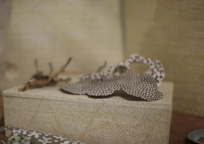 IMG_5178