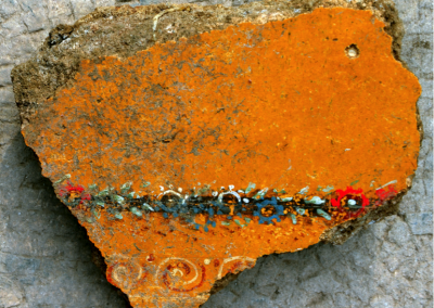 Fragment of yellow ceiling tile. Photo by D. Nocera