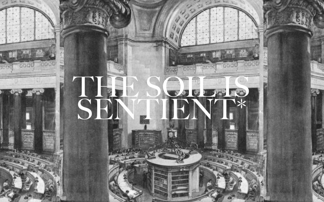 “The Soil Is Sentient”