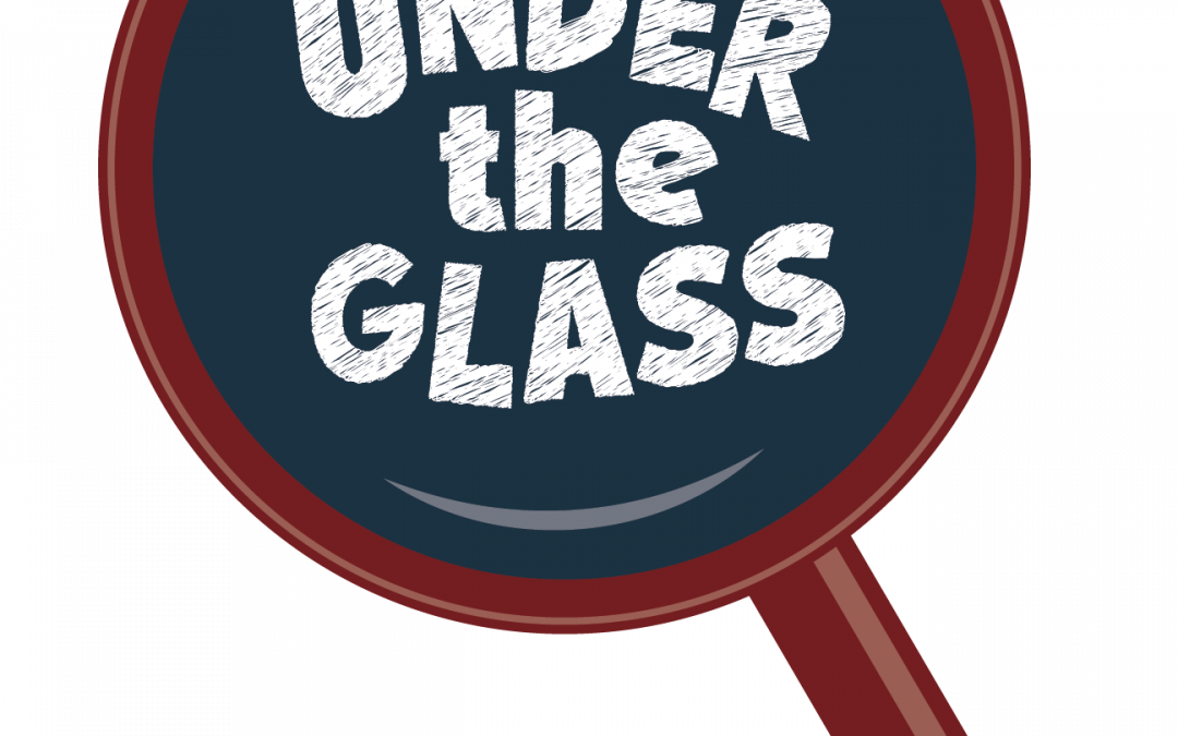 Magnifying the Miniatures – 2025 exhibit by Columbia Anthropology MA students at AMNH